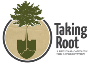 Taking Root Logo