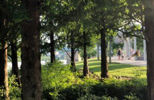 Smale park trees